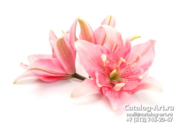 Pink lilies 25